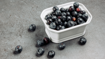 빌베리 효능, 눈 건강에 얼마나 도움이 될까?