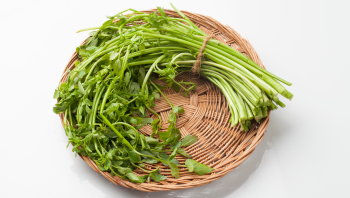 미나리 효능 총정리 : 간 건강, 혈관, 항산화부터 무침 레시피까지